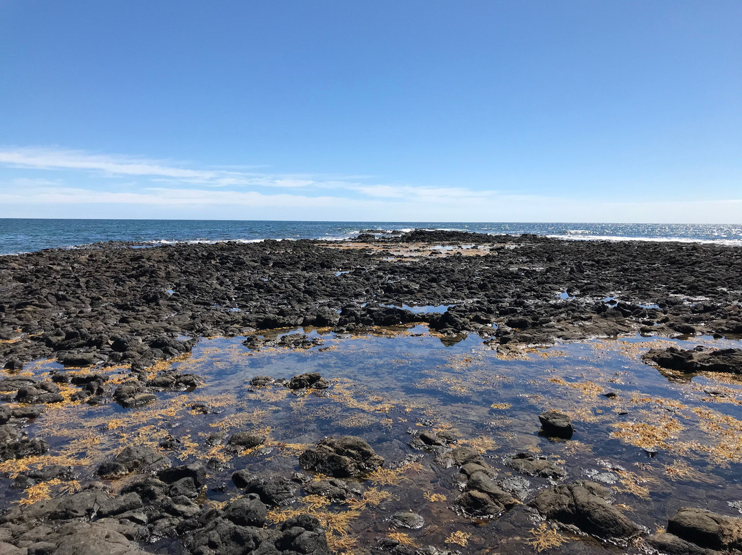 Johnsons Beach-企鹅岛必去景点