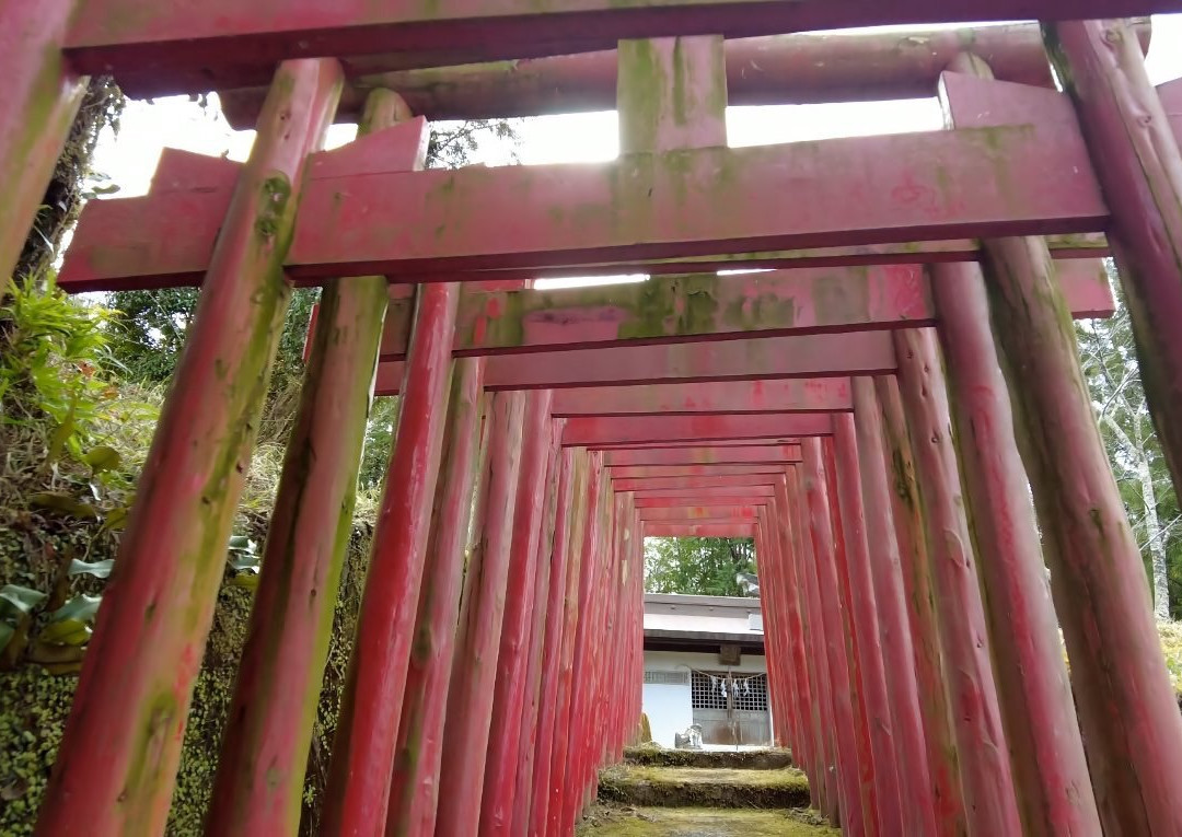 Makino Park-佐川町必去景点