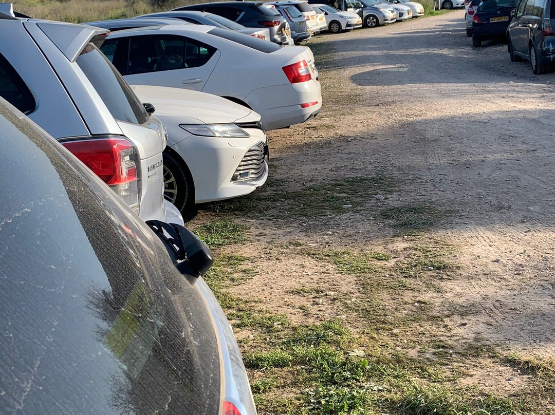 Elah Valley-Beit Shemesh必去景点