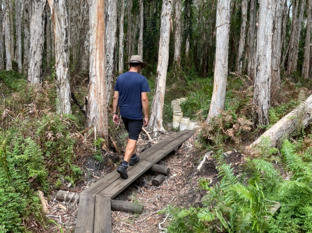Paperbark Forest Walk-Agnes Water必去景点
