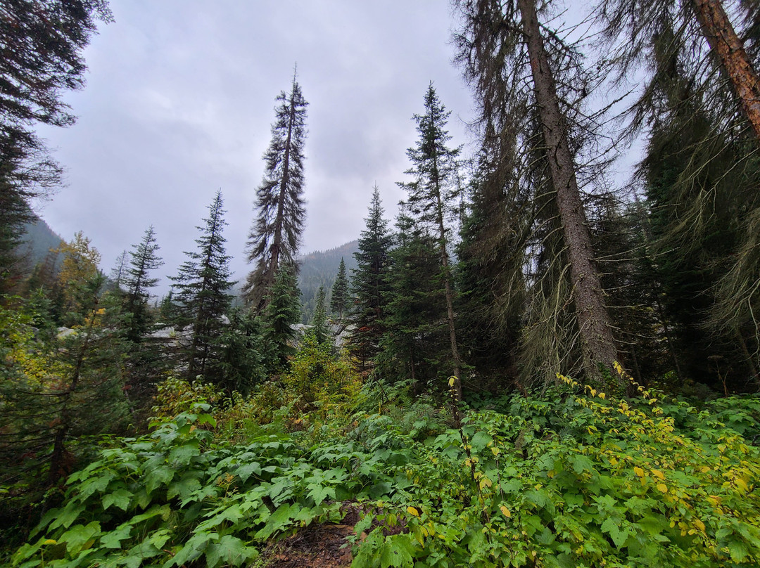 Glacier National Park-雷夫尔斯托克必去景点