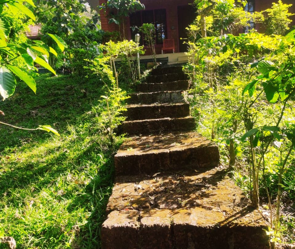 Wild Life Resorts主图