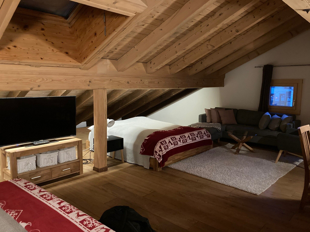 Arsa Lodge Silvaplana主图