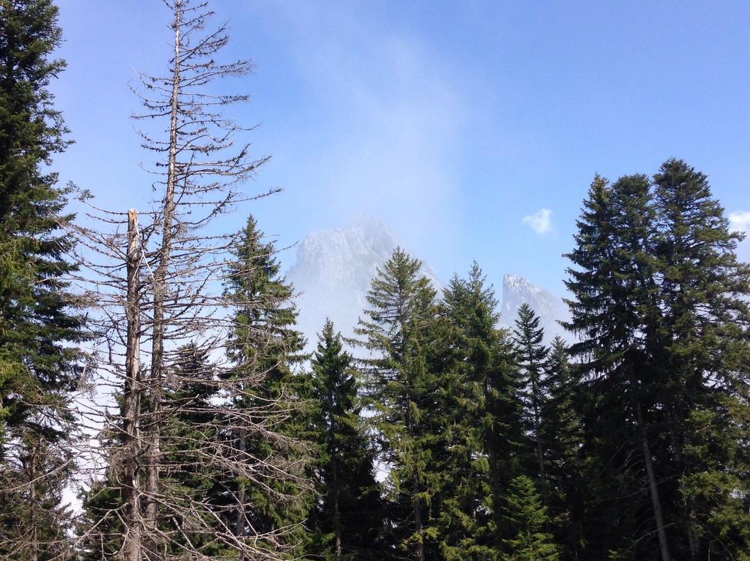 Corsham Creative Market-科斯罕必去景点