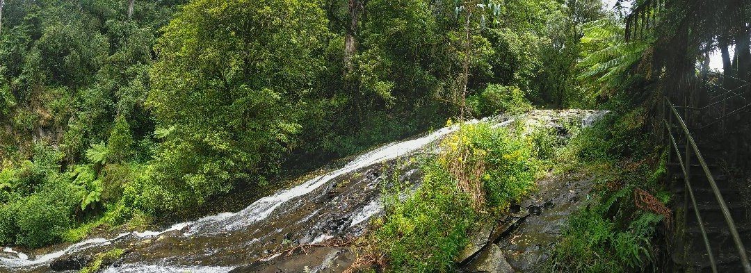 Tarra Falls-Tarra Valley必去景点