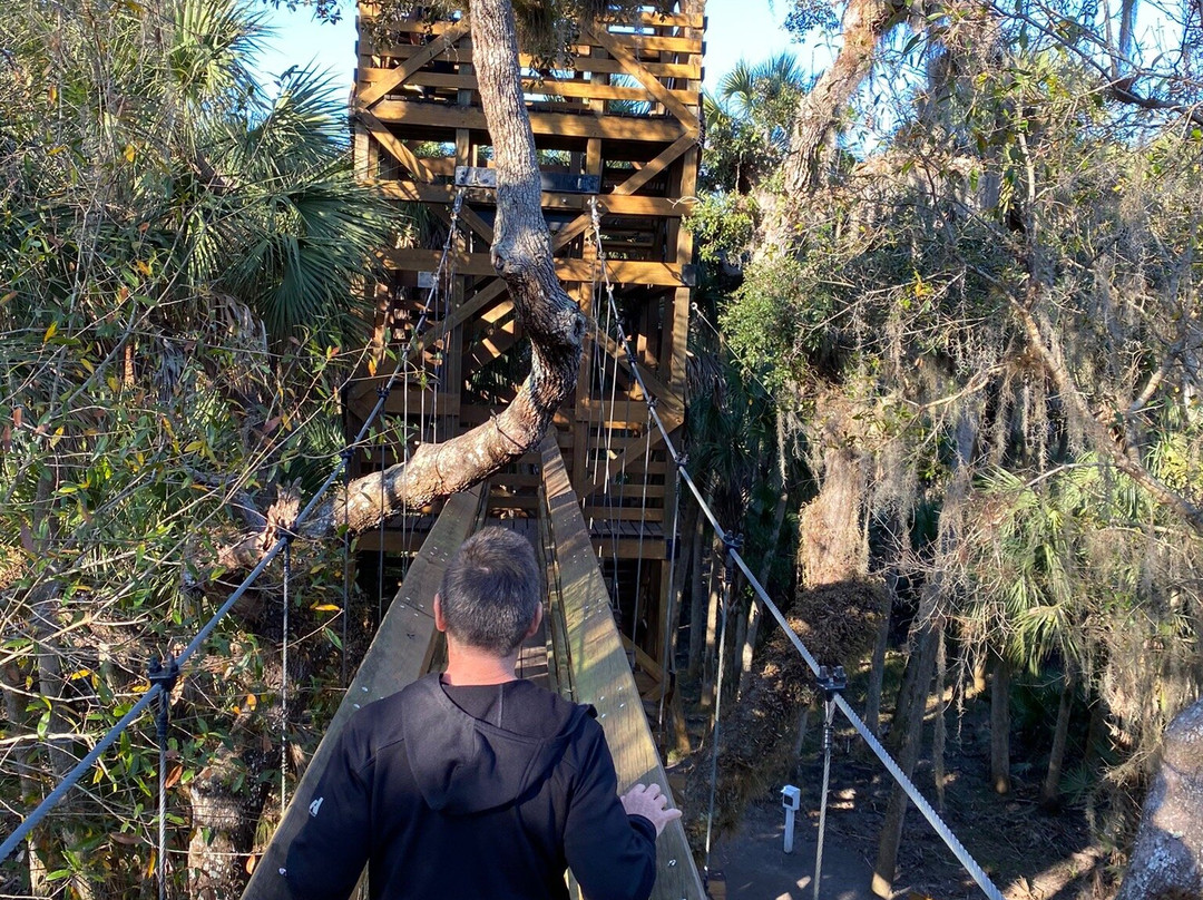 Myakka Canopy Walkway-萨拉索塔必去景点