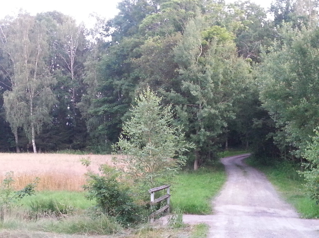 Schrems旅游攻略图片