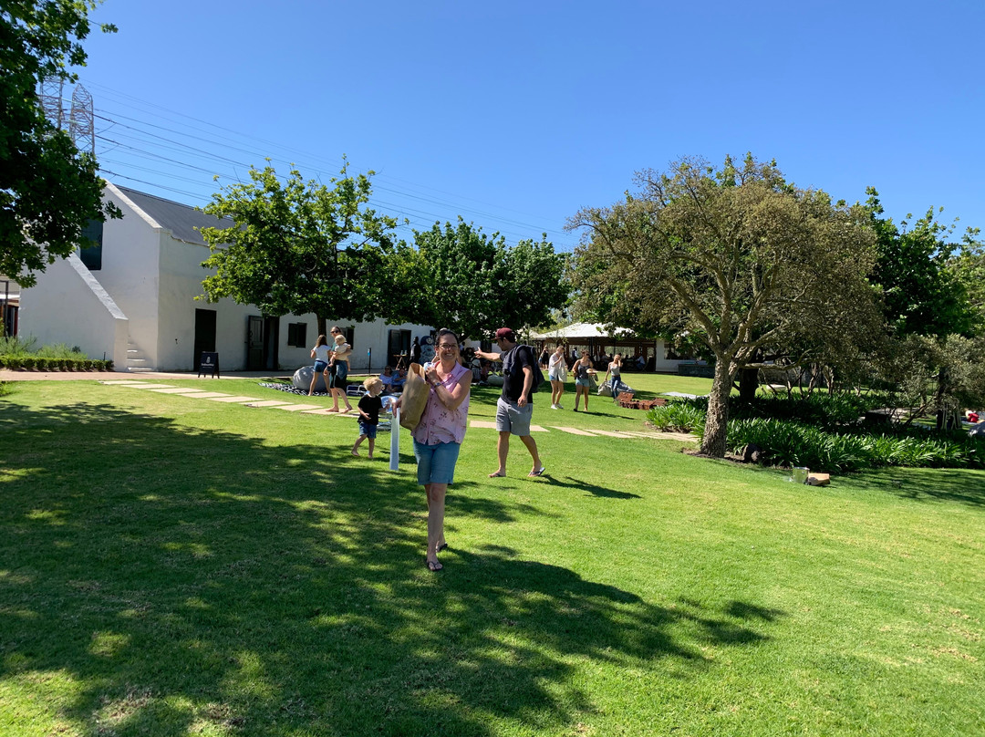 Hazendal Wine Estate-斯泰伦博斯必去景点