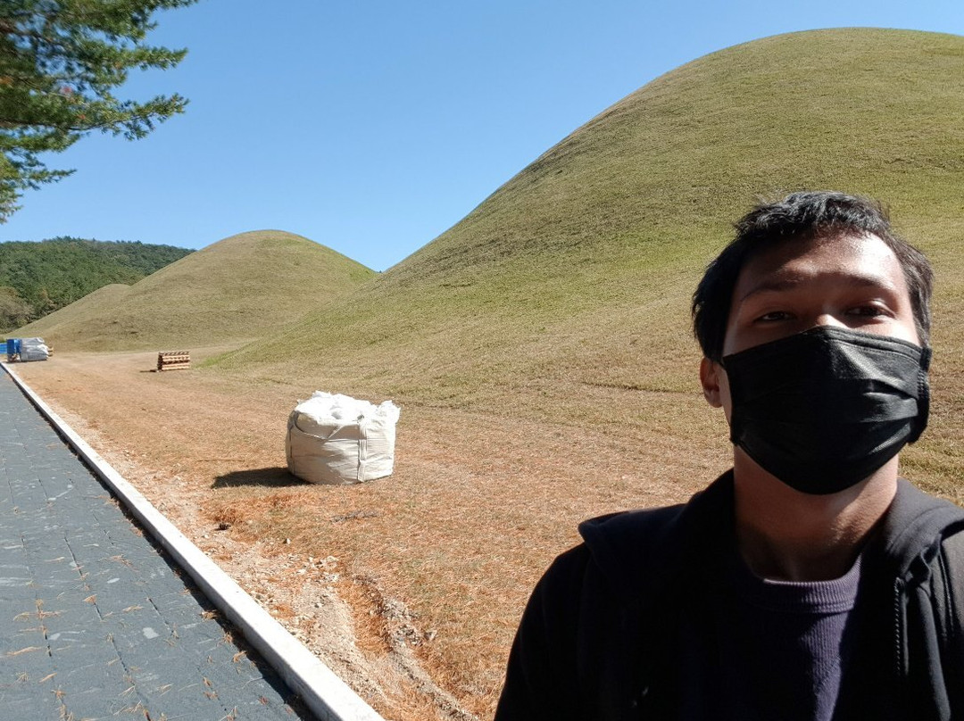 Royal Tomb of King Taejong Muyeol-庆州市必去景点