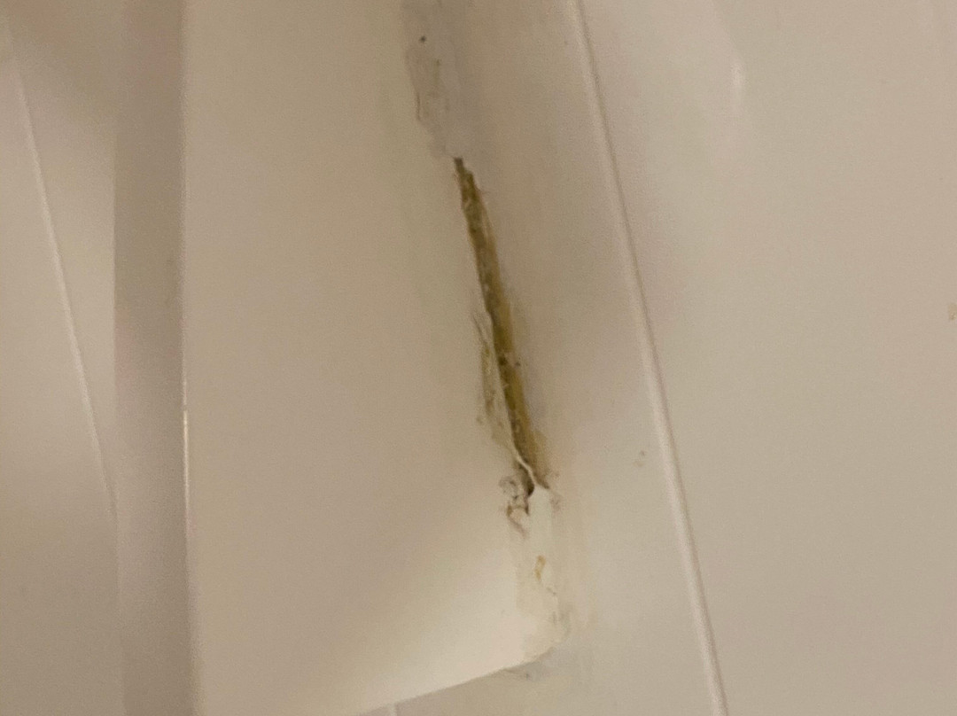 Hampton Inn & Suites Jacksonville/orange Park主图