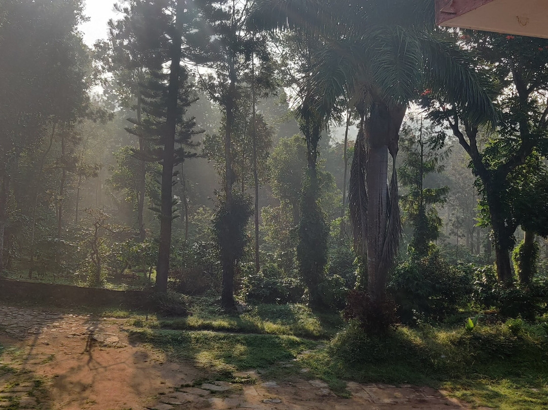Bison Manor Country Retreat主图