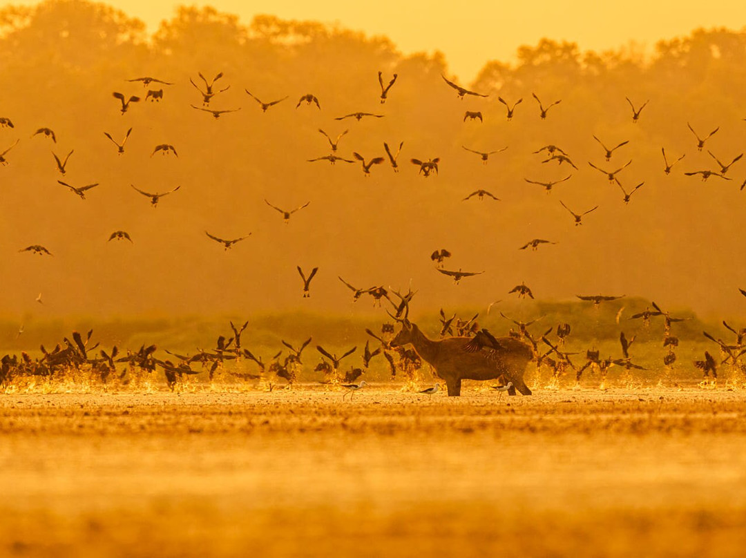 Dudhwa Fun Resort主图