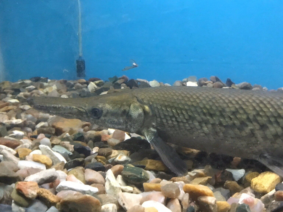 Nisargadhama Exotic Bird Park-Baichanalli必去景点