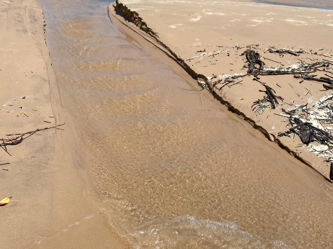 Parnaiba Delta-Parnaiba必去景点