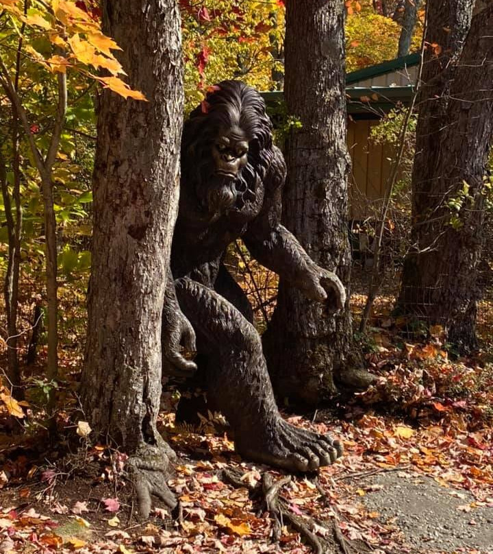 Rock City Park-Olean必去景点