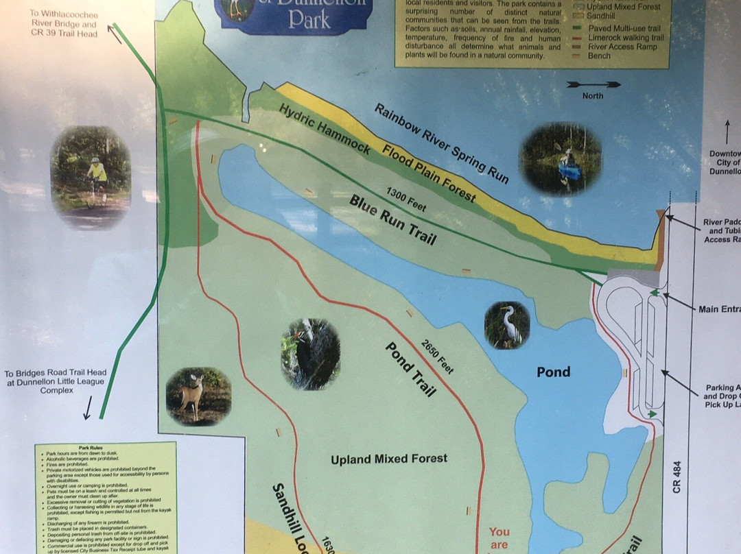 Blue Run of Dunnellon Park-Dunnellon必去景点