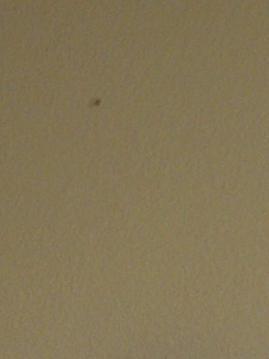 Suburban Extended Stay Hotel Clarksville主图