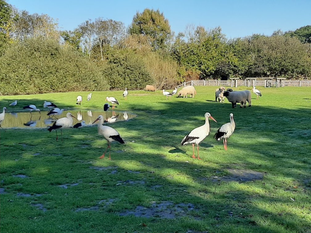 Westkustenpark & Robbarium景点图片