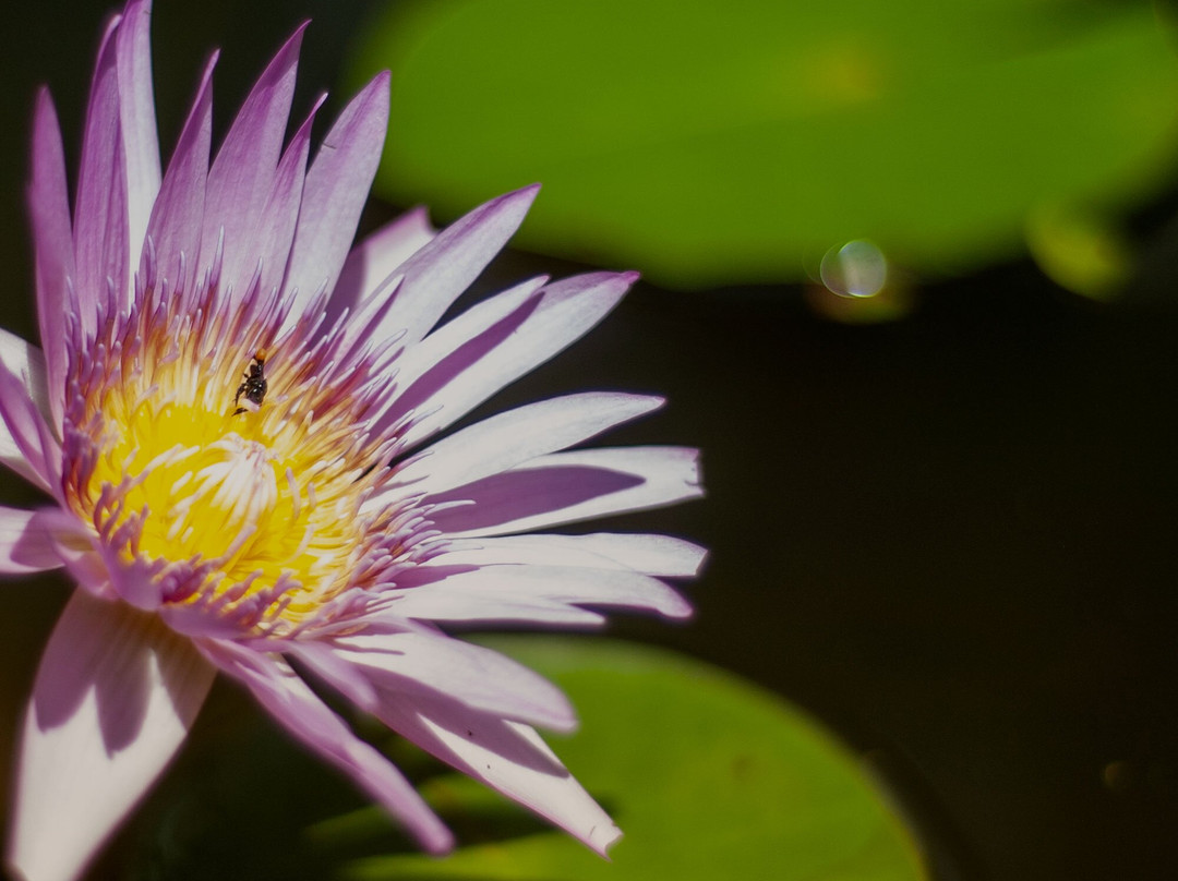Hacienda Sabacche-Tecoh必去景点