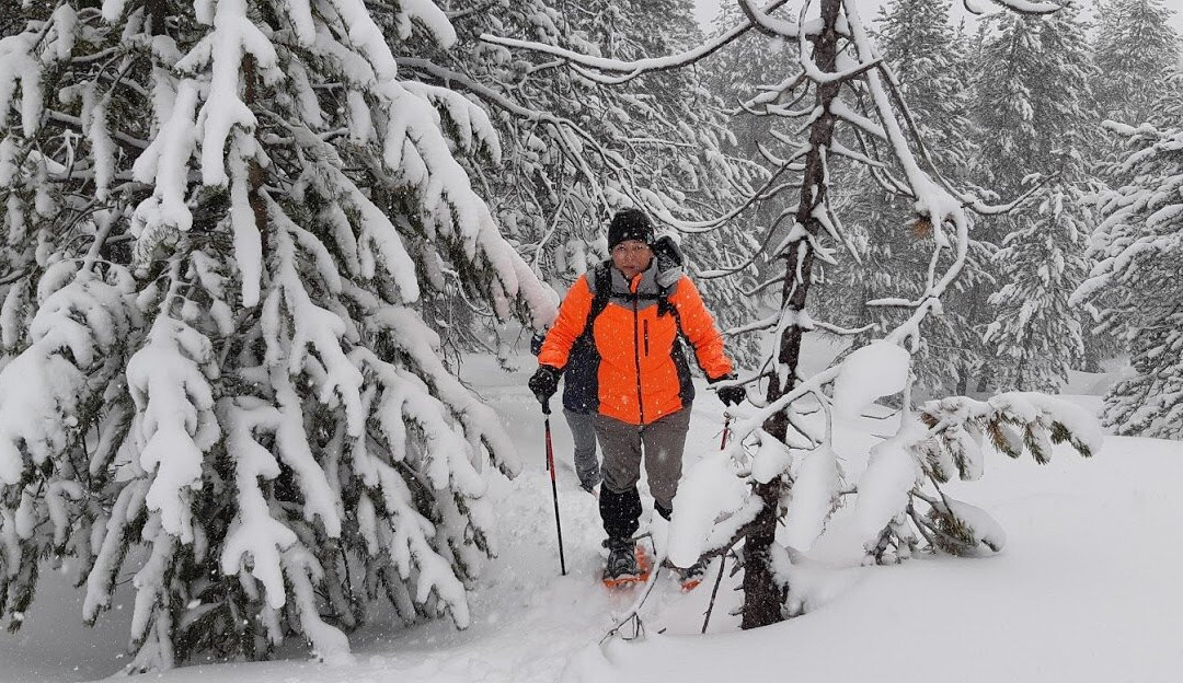 Hotel Llop Gris主图