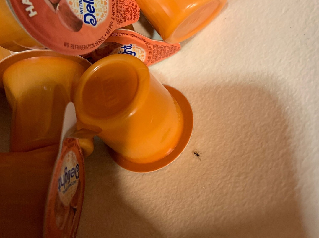 Hyatt Place Kansas City/ Overland Park/ Convention Center主图