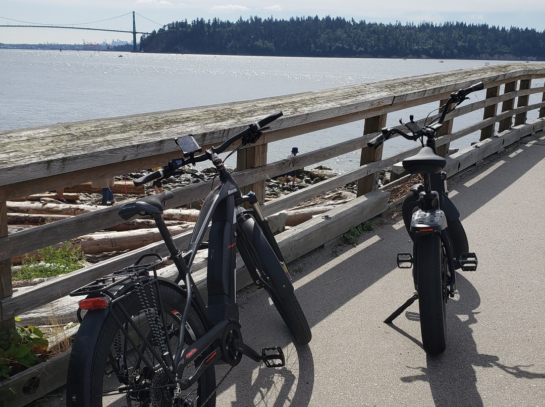 Motor Pony Electric e-Rides-北温哥华必去景点