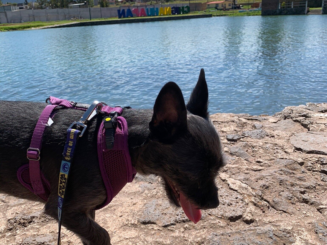 Laguna Chignahuapan-Chignahuapan必去景点