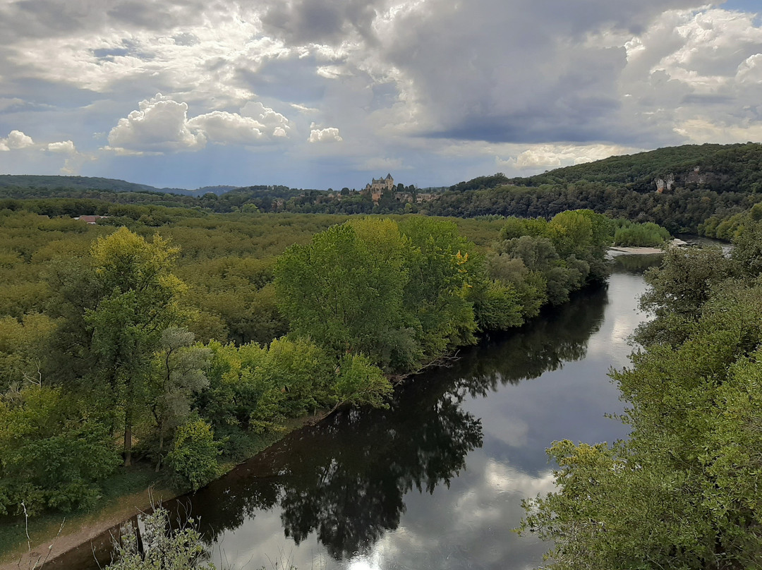 Chateau de Montfort景点图片