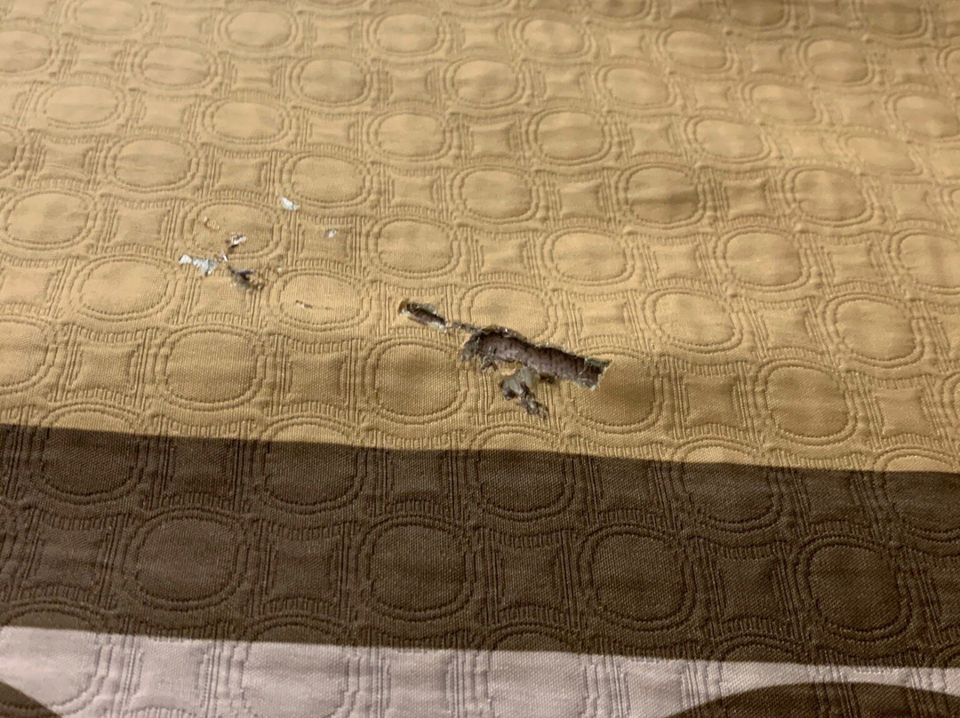 Super 8 by Wyndham Brookville主图