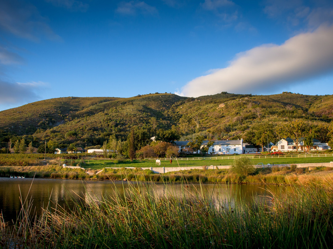 Landskroon Wines-Suider Paarl必去景点