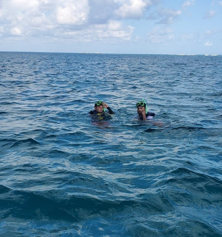 East Coast Water Taxi-法哈多必去景点