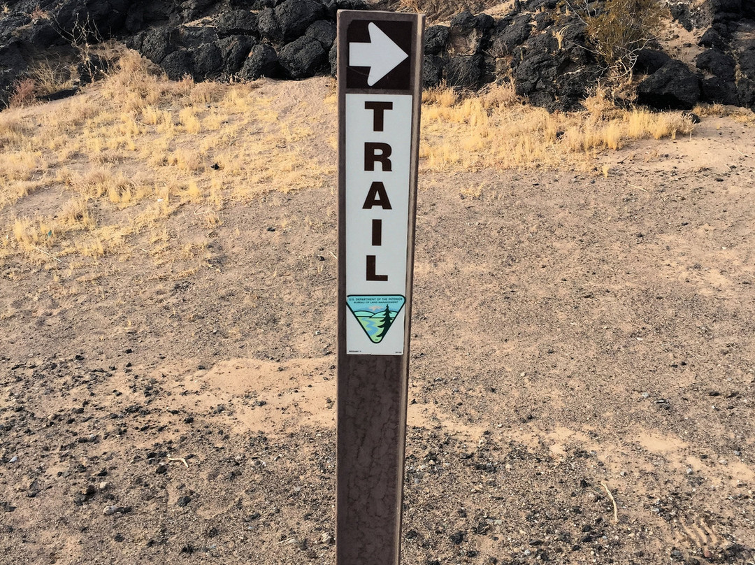 Amboy Crater-Amboy必去景点