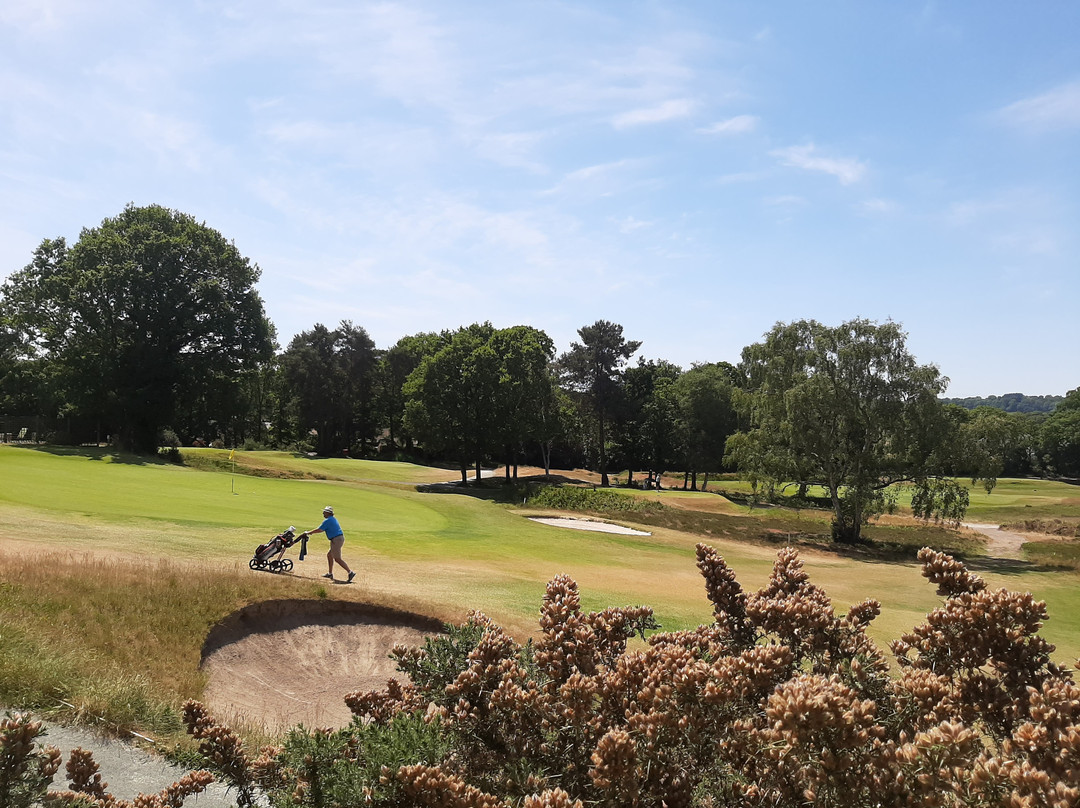 Blackmoor Golf Club景点图片