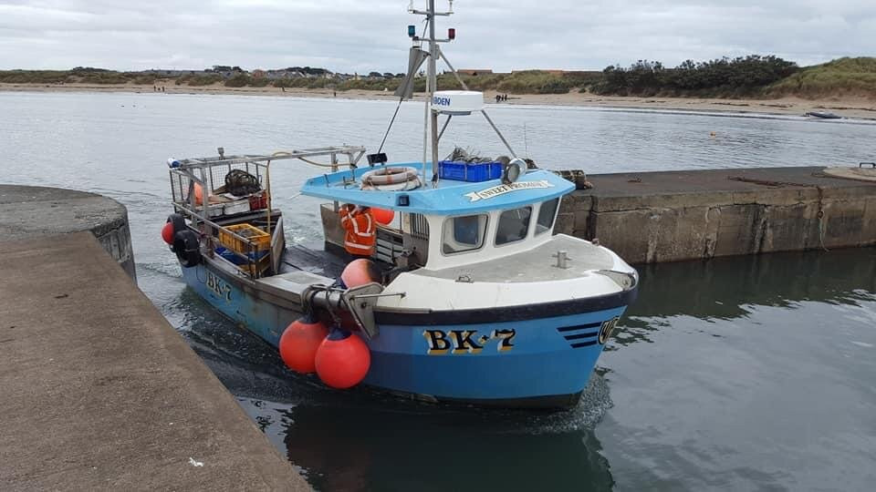 Beadnell Harbour and Lime Kilns景点图片