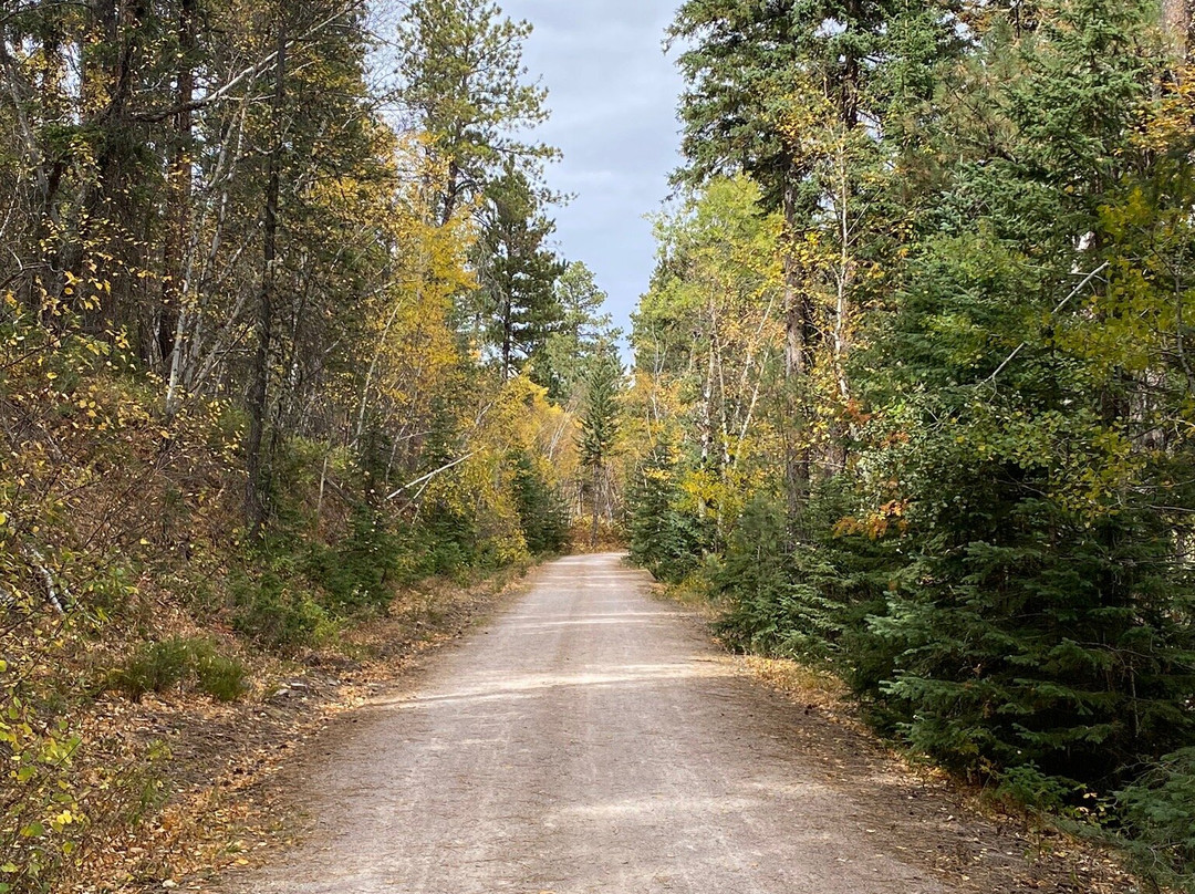 George S. Mickelson Trail景点图片