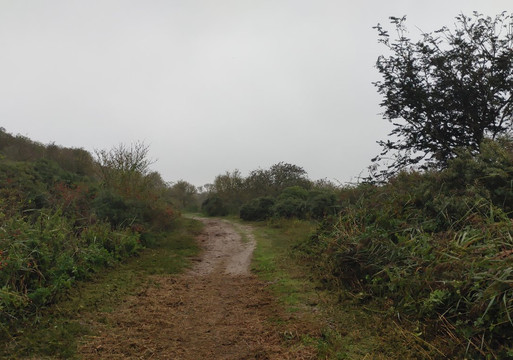 Watt-Baltrum必去景点