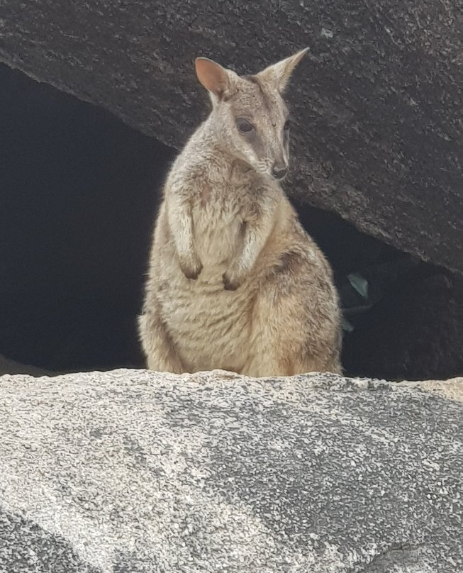 Geoffrey Bay-Magnetic Island必去景点