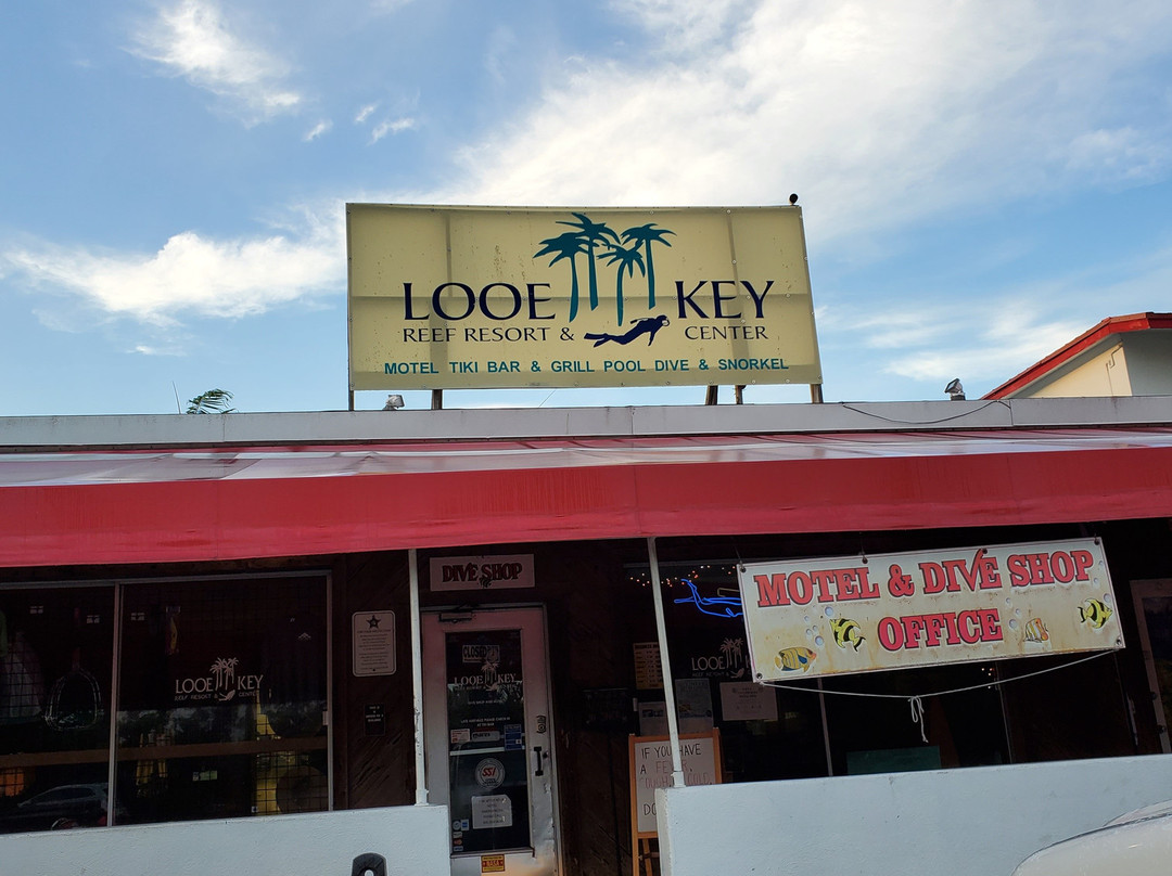 Looe Key Dive Center景点图片