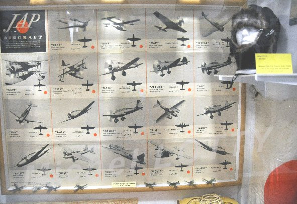 Warhawk Air Museum景点图片