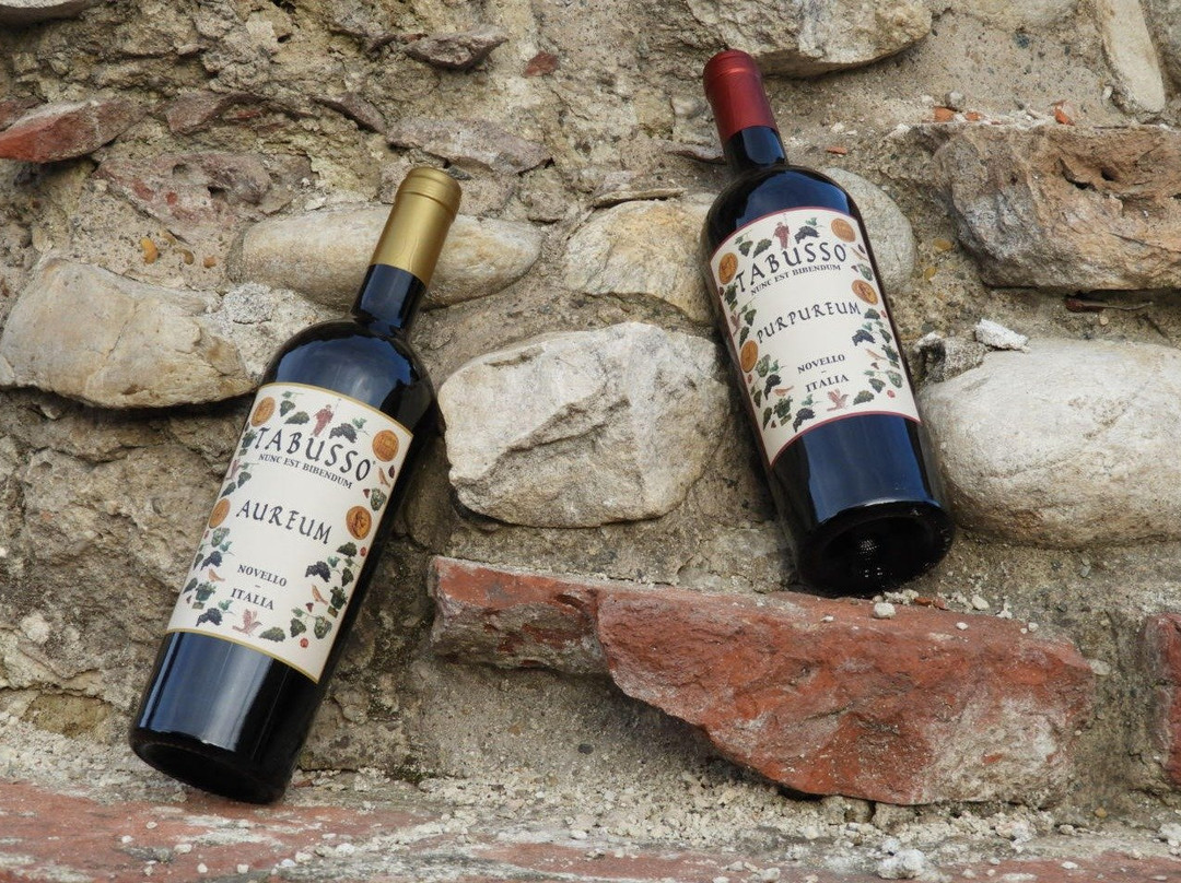 Percorso museale e degustazione dell'antico vino romano景点图片