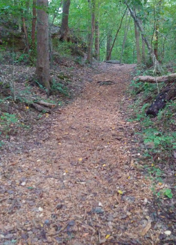Big Trees Forest Preserve-桑迪斯普林斯必去景点
