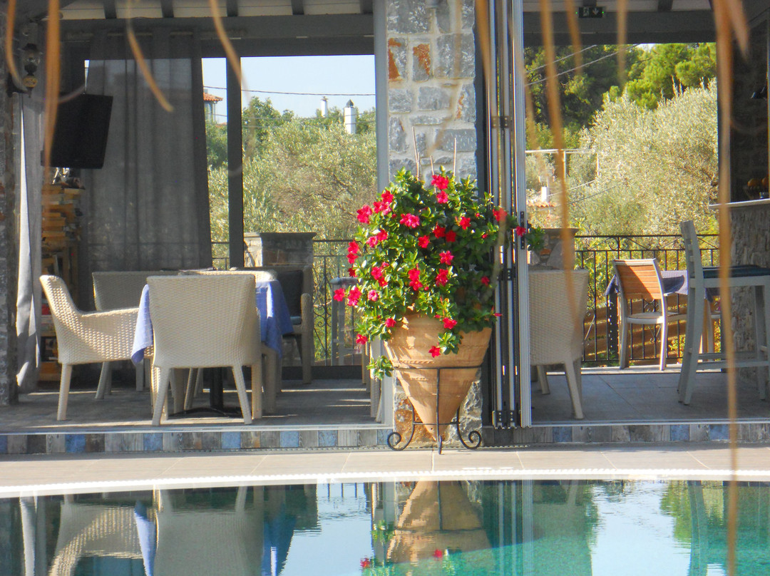 Theodora Studios主图