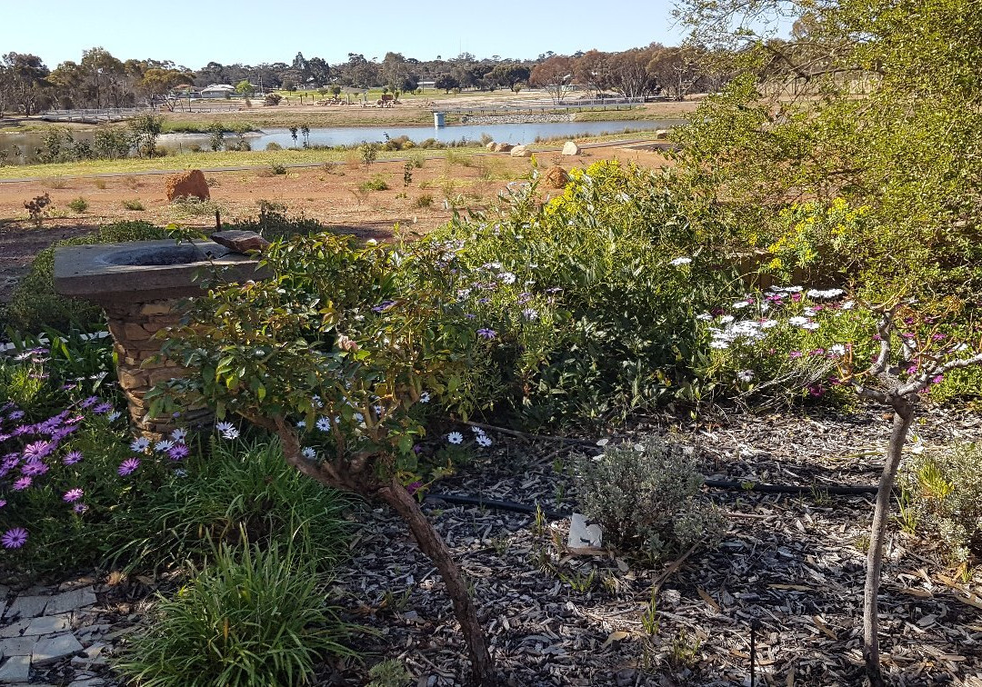 Yellow Gum Bed and Breakfast主图