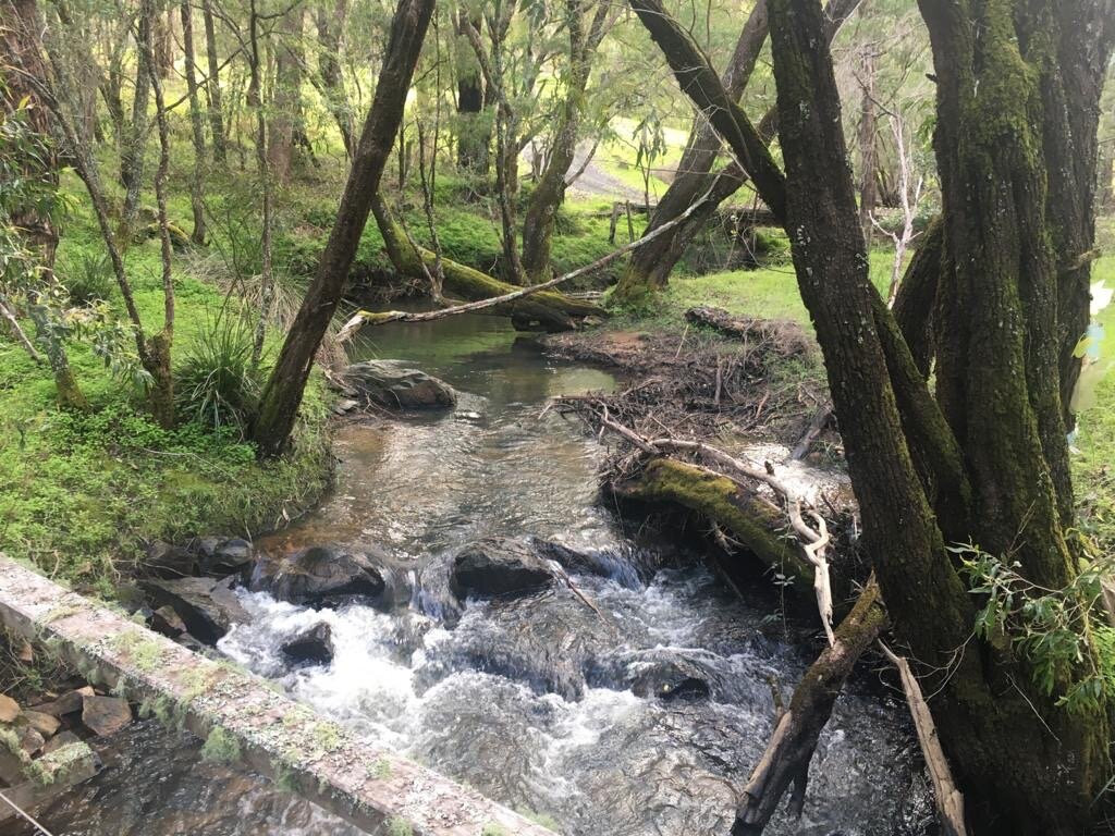 Peppermint Lane Lodge主图