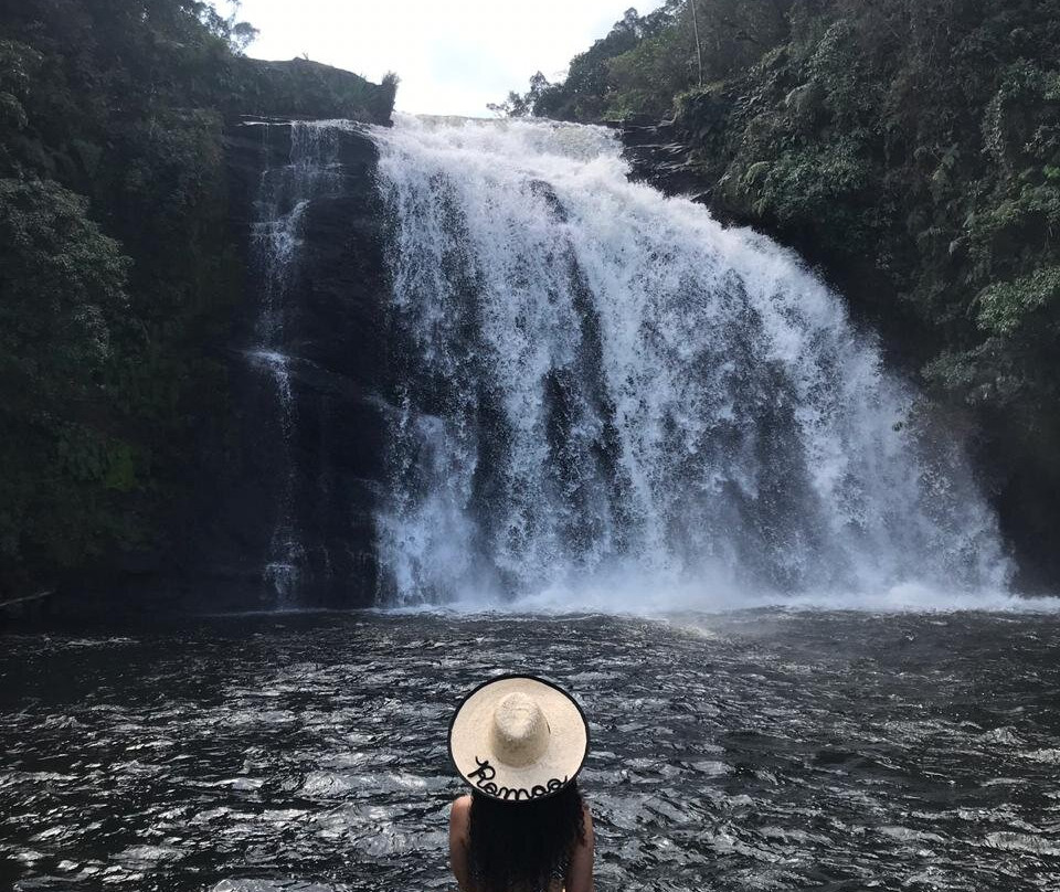 Cachoeira Bracui景点图片