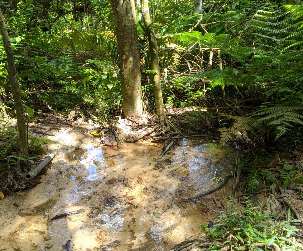 Ayer Hitam Forest Reserve景点图片