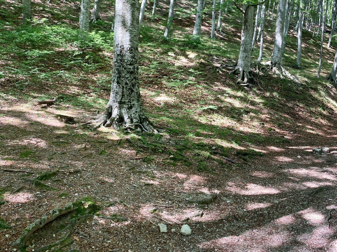 Gole dell’Infernaccio-Montefortino必去景点