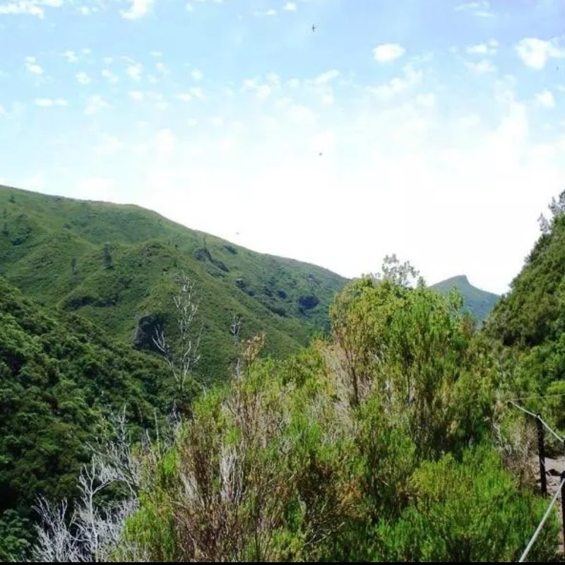 Guia Ilha da Madeira-马德拉群岛必去景点