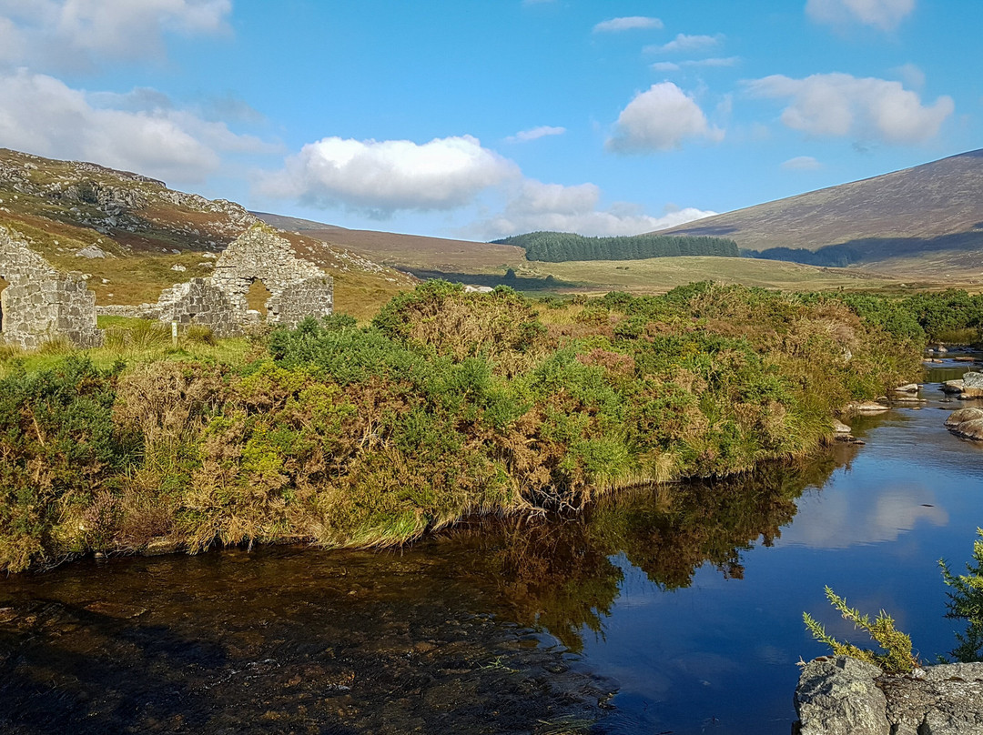 Wicklow Scenic Walks-Wicklow必去景点