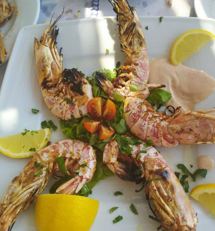 Sergis Restaurant Fish Tavern